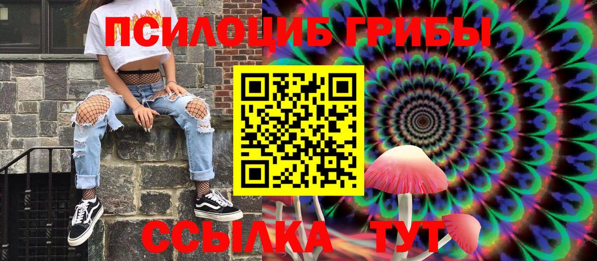 Галлюциногенные грибы мицелий  Вход с VPN  Галлюциногенные грибы Psilocybine cubensis  Кингисепп 