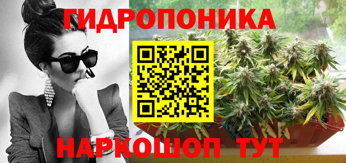 Бошки марихуана Amnesia Кингисепп